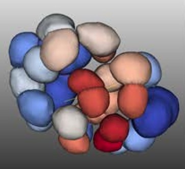 3D screening of sick cells