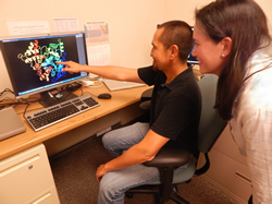 Supercomputers predict drug side effects