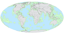 No fishing high seas: save wild fish, up profits